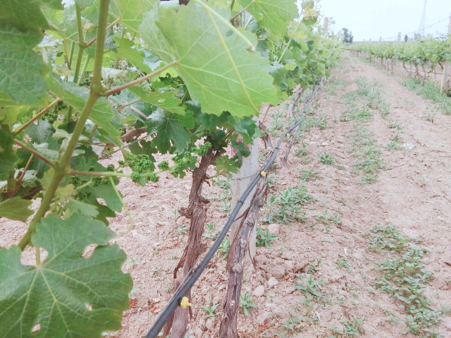 15710185826000.jpg 1.jpg