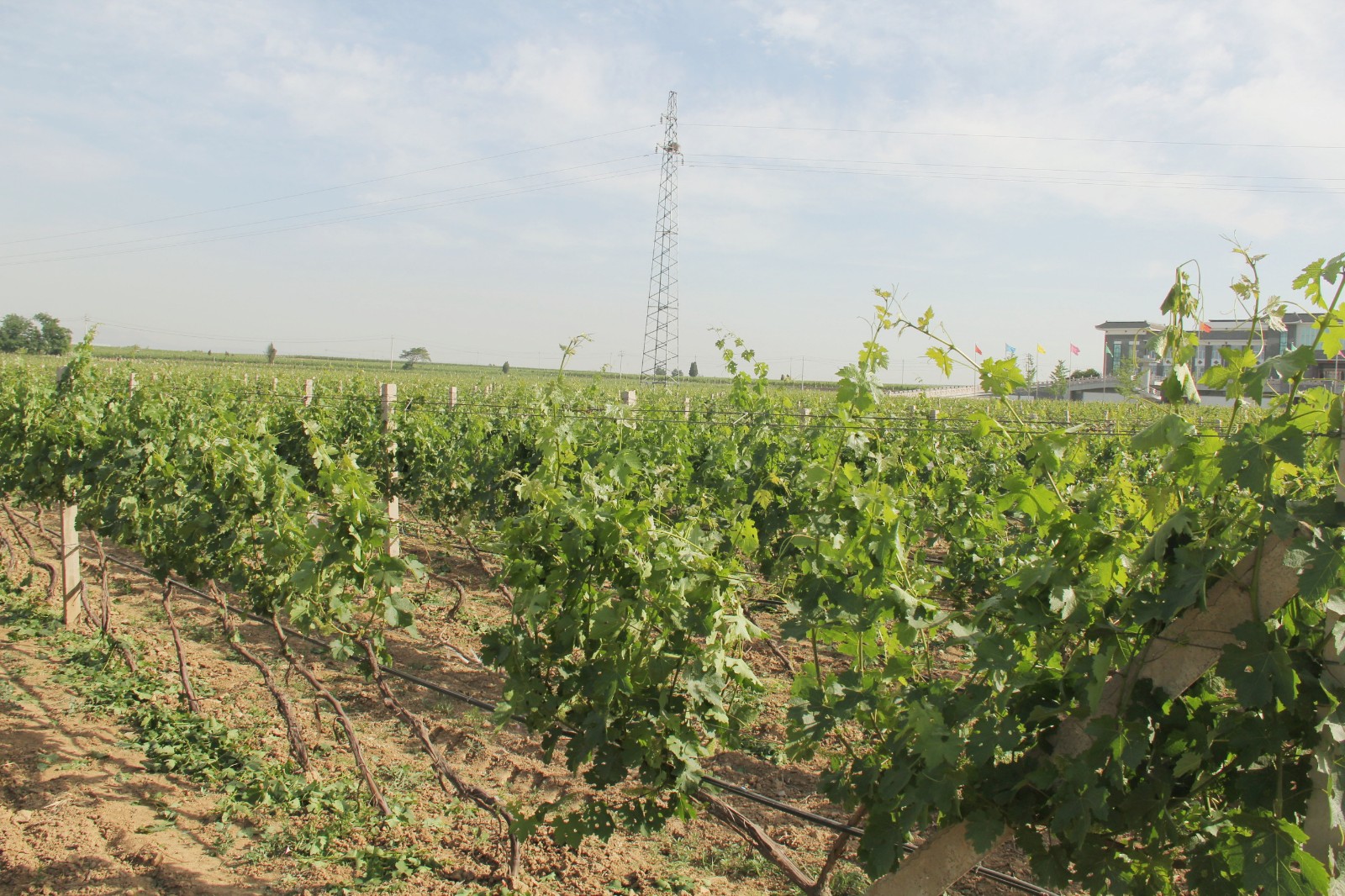 15710192323828.jpg 1.jpg