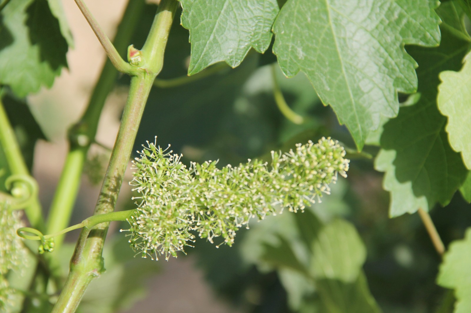 15710192609836.jpg 2.jpg