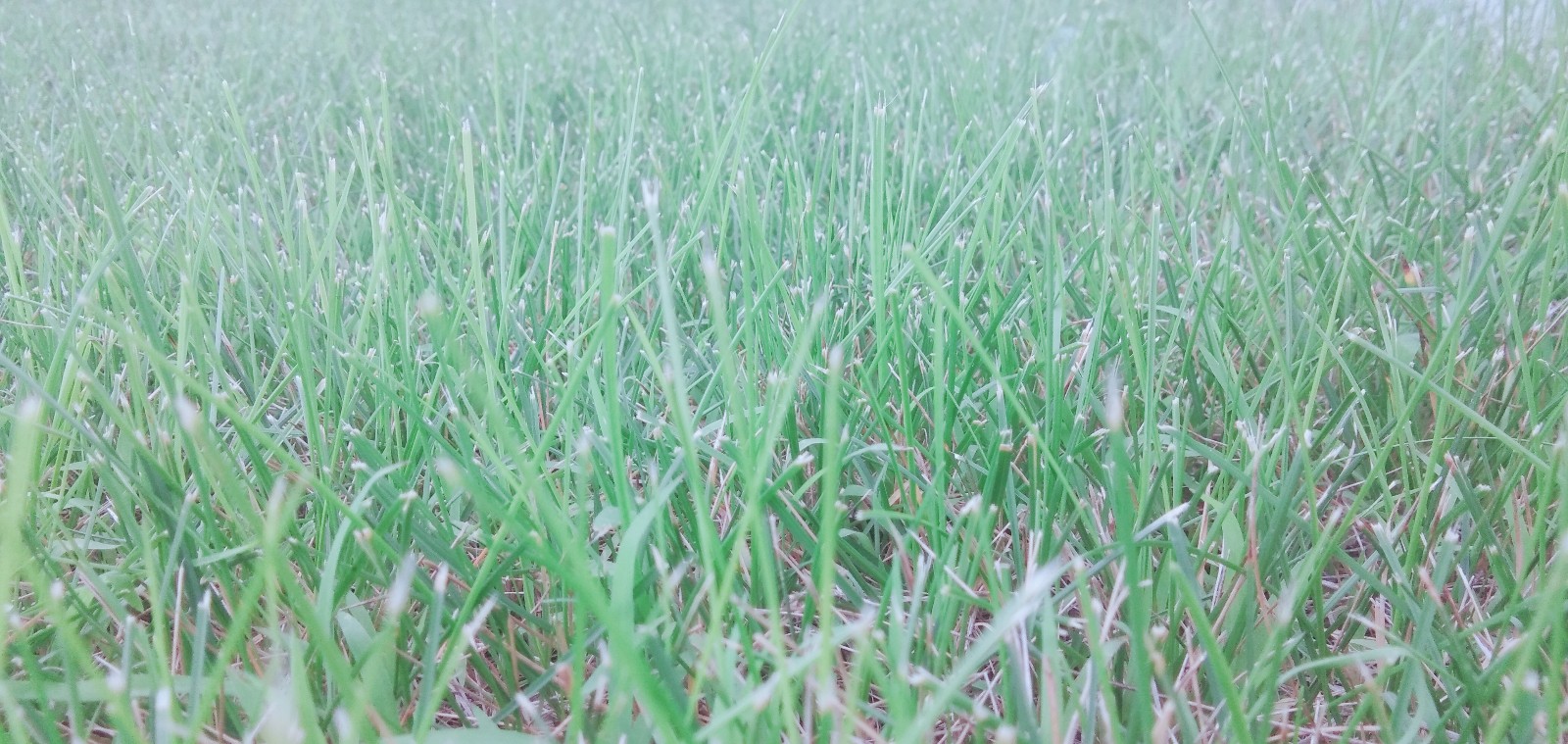 15712831581649.jpg 微信圖片_20190722145218.jpg