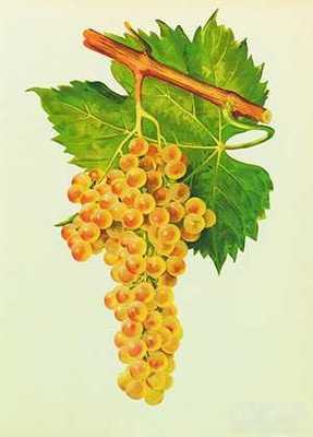 15712834255030.jpg t01fece34e1137dfd7c.jpg