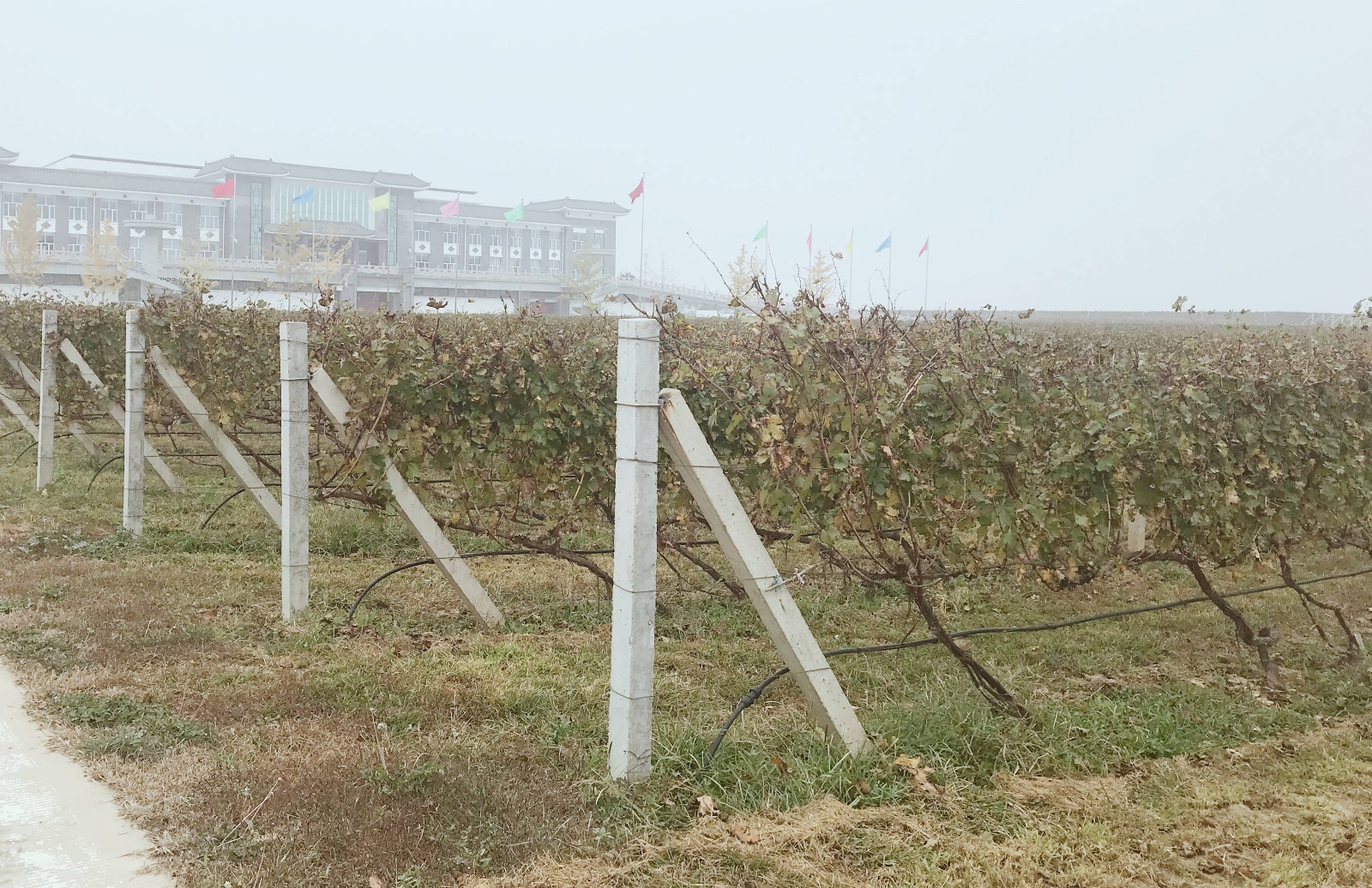 15731749851612.jpg 微信圖片_20191107103752.jpg