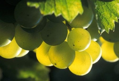 15763696184418.jpg 3.jpg