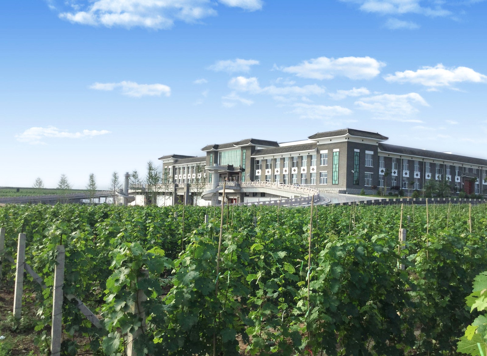 16003304531969.jpg 2.jpg