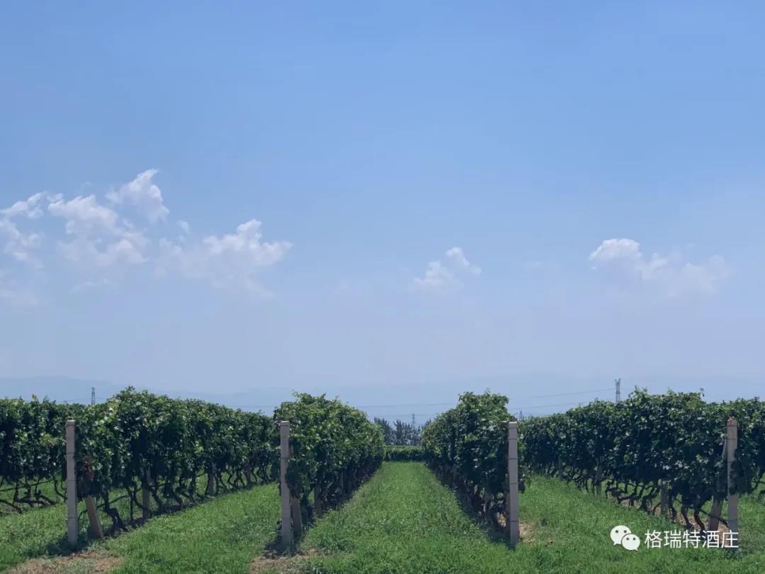 16006592841971.jpg 10.jpg