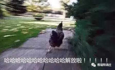 16006600441271.jpg 2.jpg