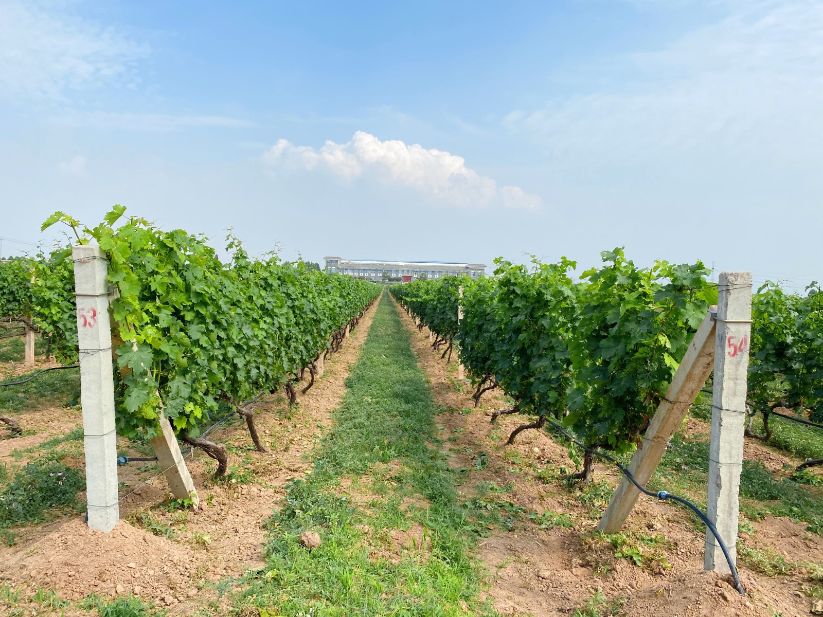 16228548738174.jpg 微信圖片_20210604091423.jpg