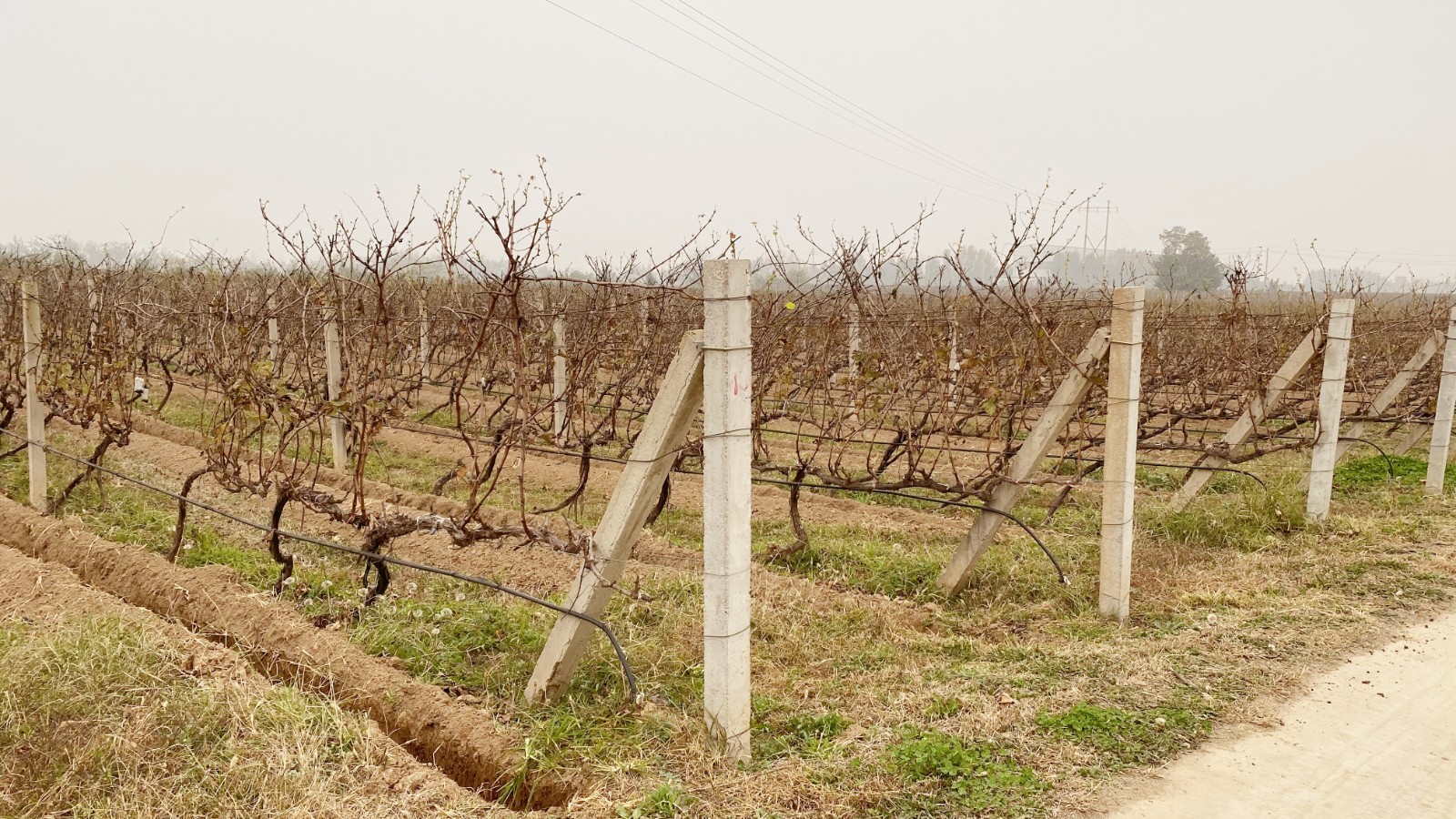 16362467405215.jpg 微信圖片_20211106085024.jpg