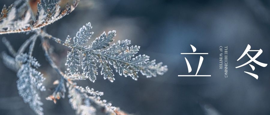 立冬 ▎朔風始起，萬物境藏