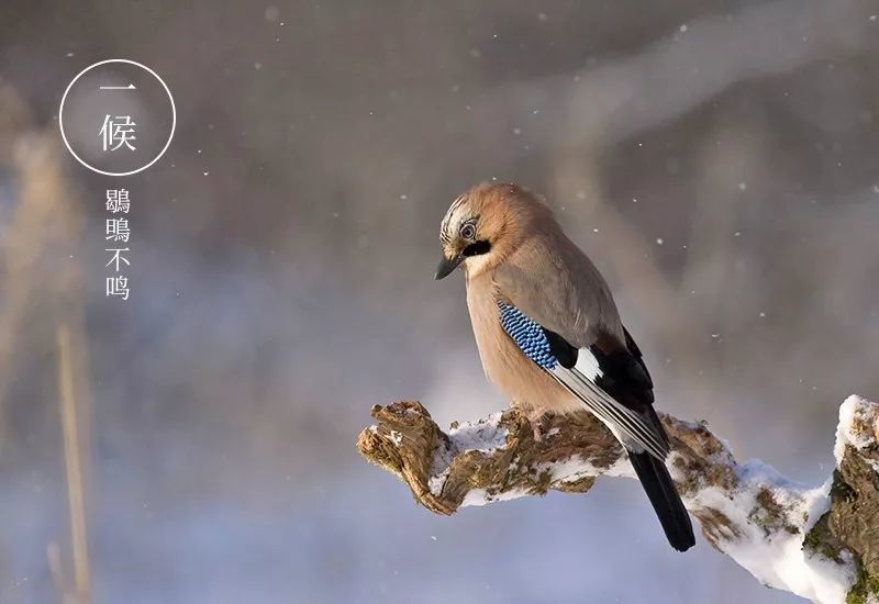 16393639173898.jpg 1.jpg