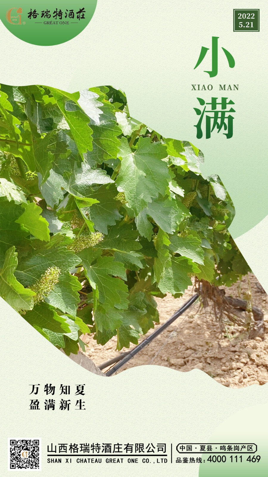 16531870218026.jpg 小滿 副本.JPG