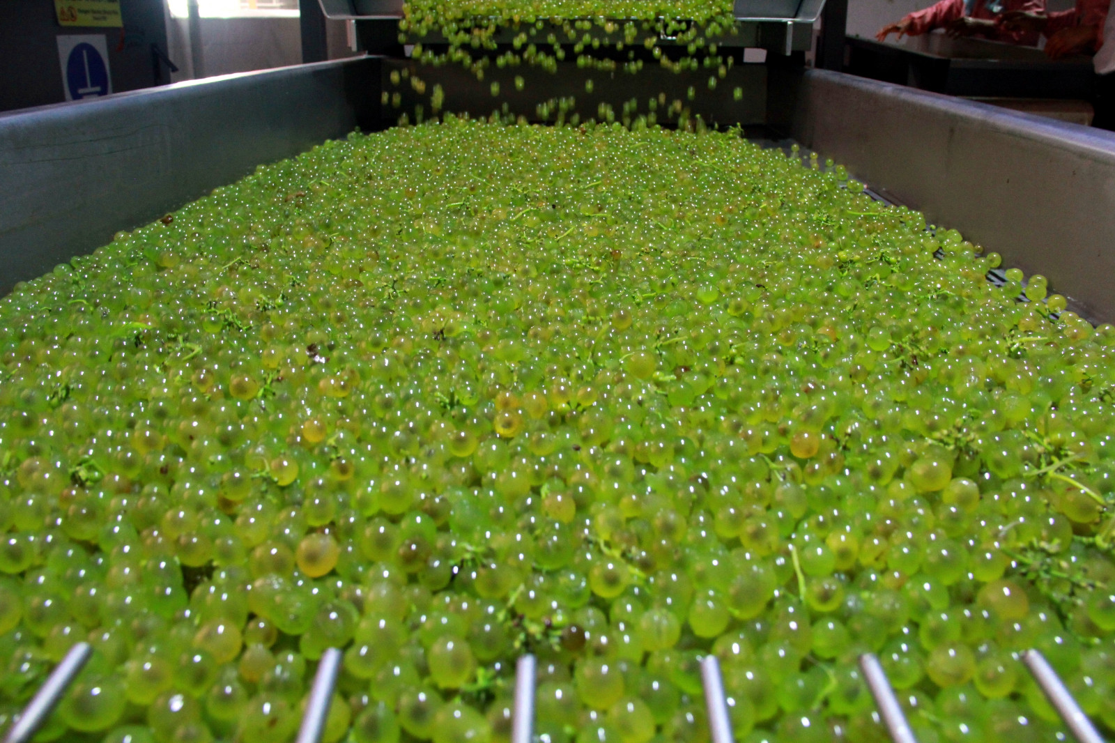 16605289708374.jpg IMG_7684_副本.jpg