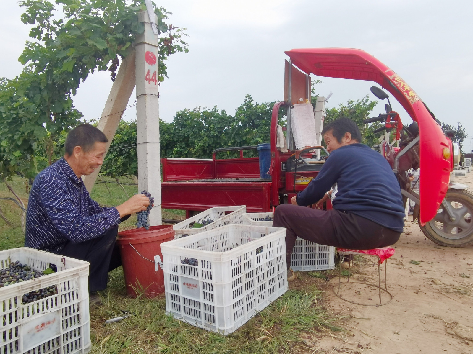 16628797088230.jpg cd0f6ed5d91d2f269468a1567898595.jpg