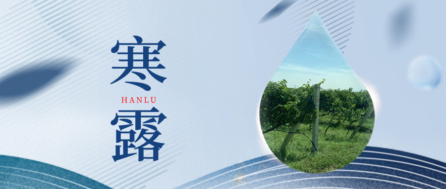 寒露丨夜露凝寒，萬物皆秋