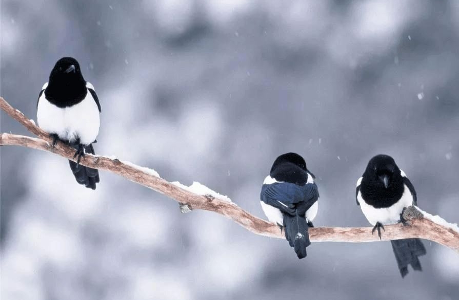 16745274566724.jpg a13f66ee8f952f29082d8ff6c848c407.jpg