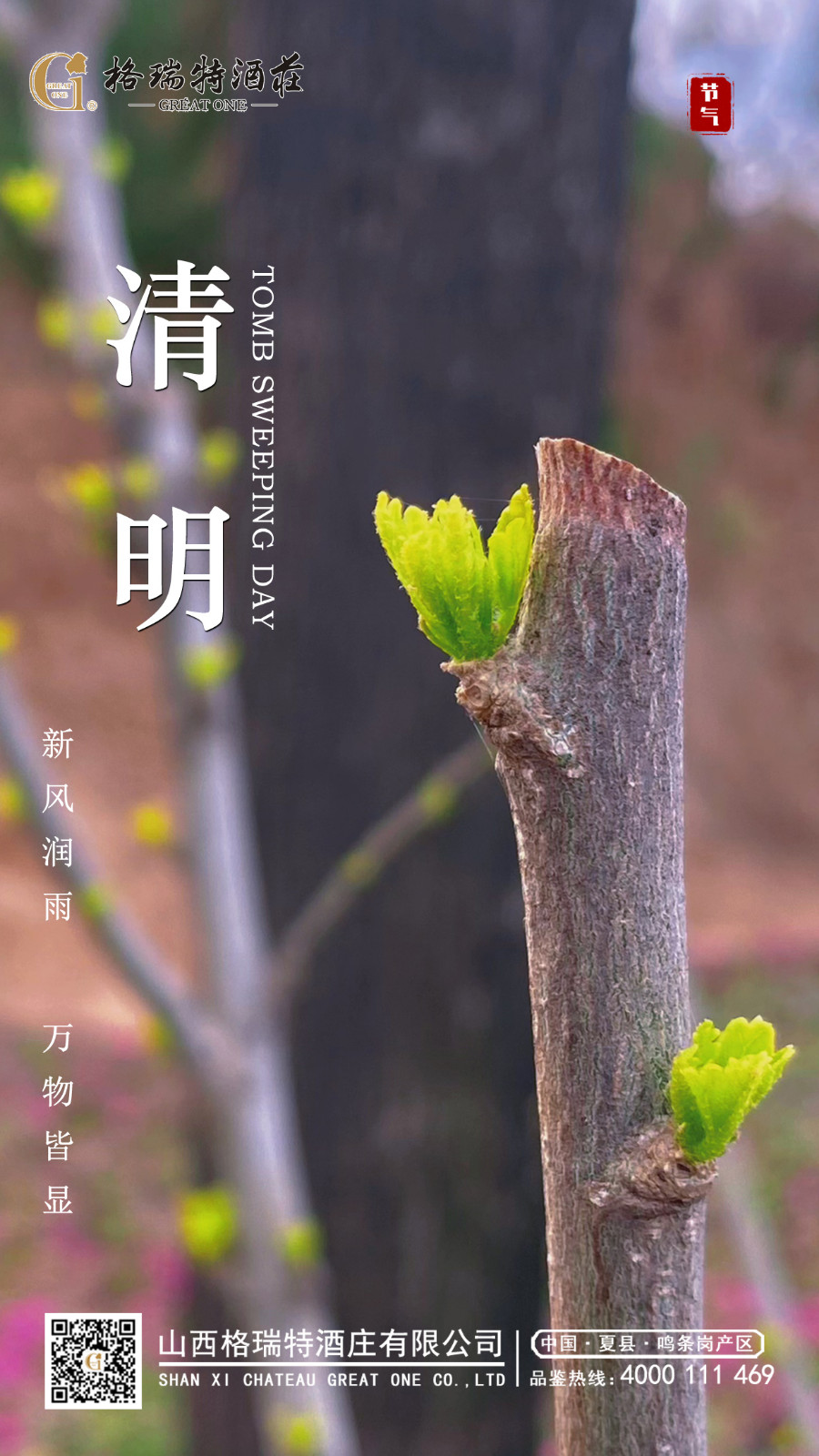 16821237037660.jpg 清明.JPG