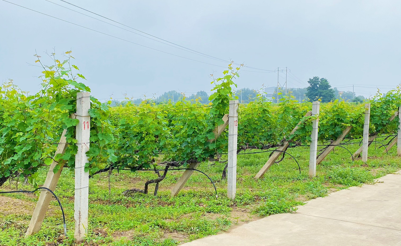 16866197095625.jpg 微信圖片_20230605091845.jpg